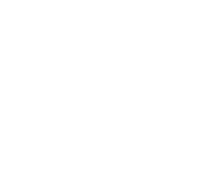 logo footer gruppo TCS